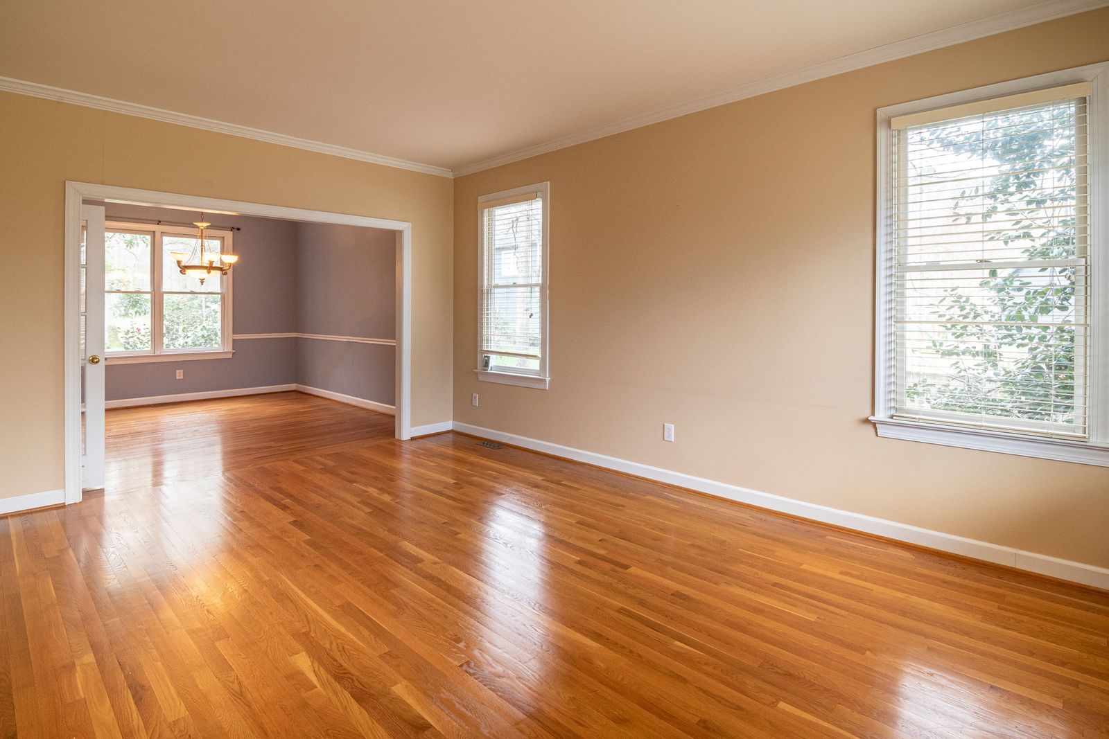 An empty room with warm freshly painted walls and natural light